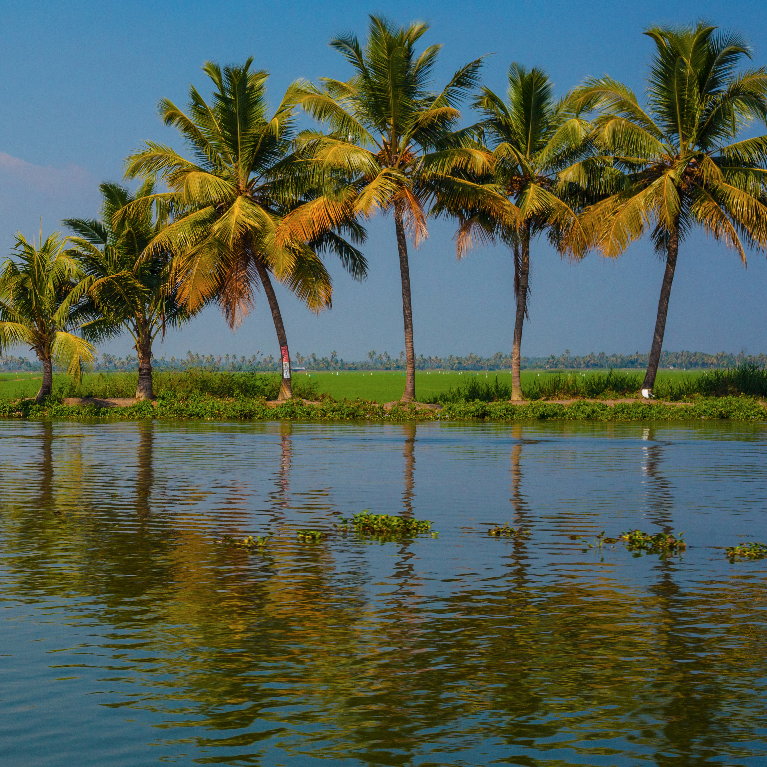 Scenic Kerala Escape